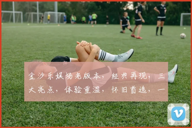 金沙乐娱场老版本，经典再现，三大亮点，体验重温，怀旧首选，一触即达