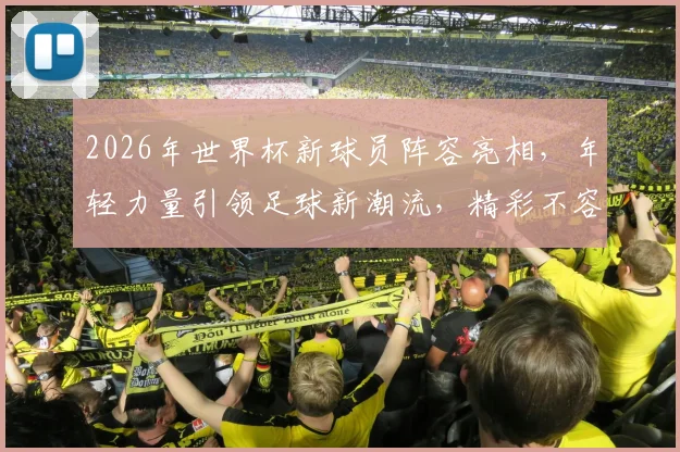 2026年世界杯新球员阵容亮相，年轻力量引领足球新潮流，精彩不容错过，敬请期待